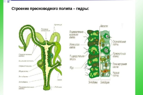 Кракен даркнет сайт