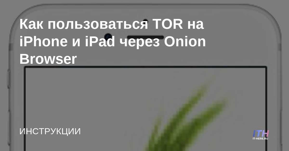 Как вернуть аккаунт на кракене