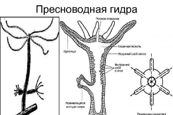 Кракен это современный даркнет маркет плейс