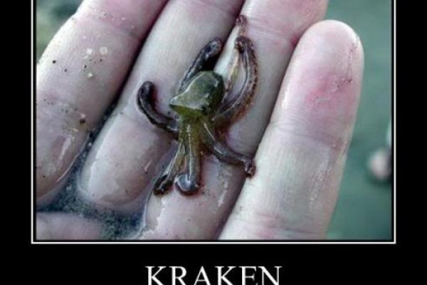 Kraken cc зеркало kr2web in